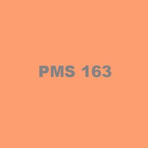 PMS 163 Ink Thumbnail
