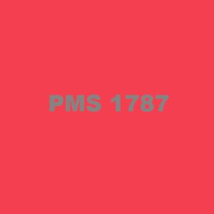 PMS 1787 Ink Thumbnail