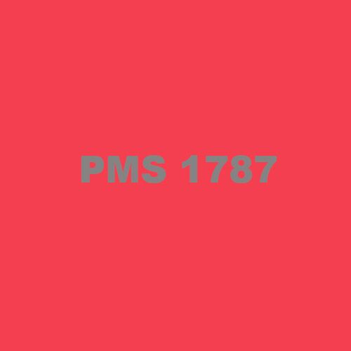 PMS 1787 Ink Thumbnail