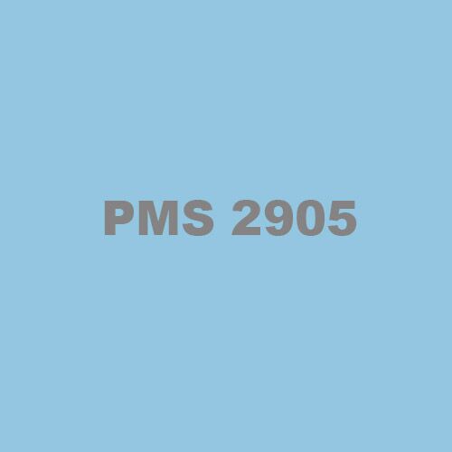 PMS 2905 Ink Thumbnail