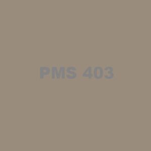PMS 403 Ink Thumbnail