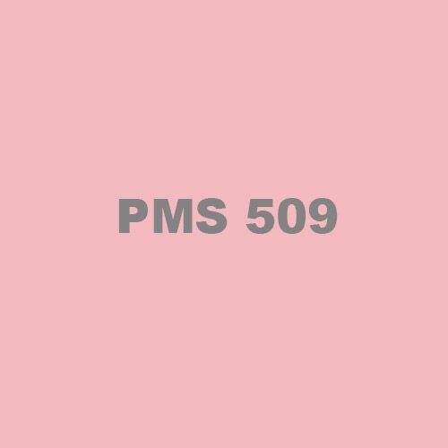 PMS 509 Ink Thumbnail