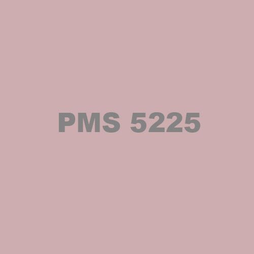 PMS 5225 Ink Thumbnail