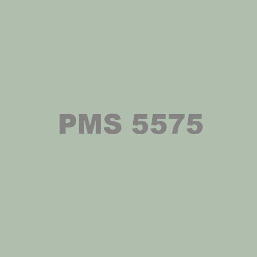 PMS 5575 Ink Thumbnail