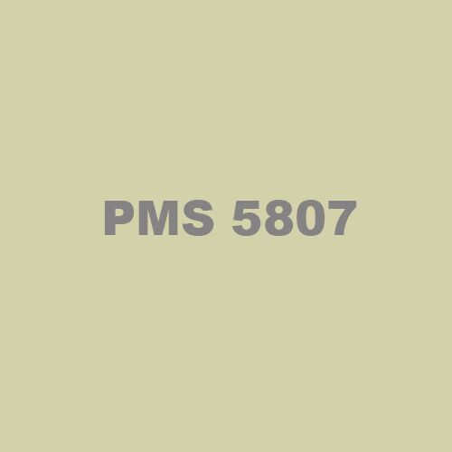 PMS 5807 Ink Thumbnail