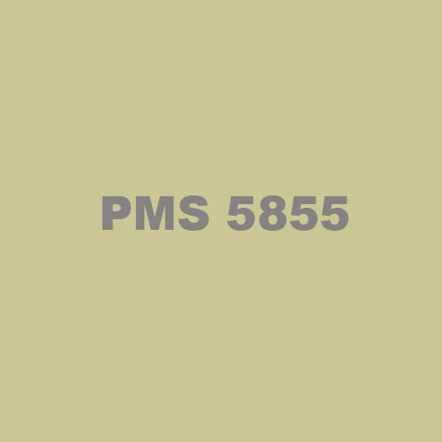 PMS 5855 Ink Thumbnail