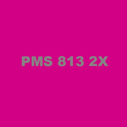 PMS 813 2X Ink Thumbnail